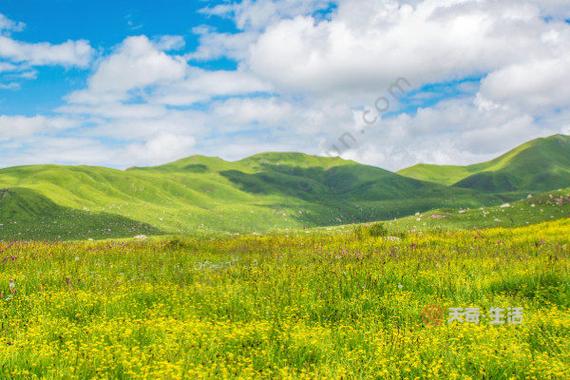 Gợi cảm với kiểu ảnh vuốt tóc quen thuộc của Hồ Ngọc Hà.
